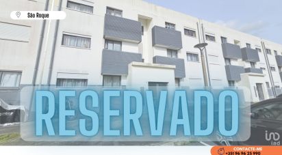 Apartment T2 in Rosto do Cão (São Roque) of 84 m²