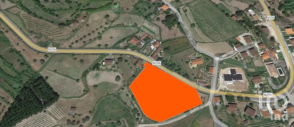 Land in Cavez of 9,600 m²