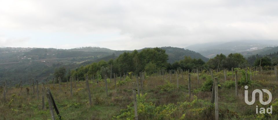 Land in Cavez of 9,600 m²
