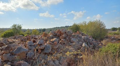 Terrain à Santa Bárbara de Nexe de 13 040 m²