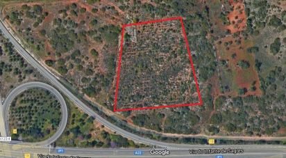 Terrain à Santa Bárbara de Nexe de 13 040 m²