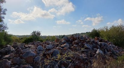 Terrain à Santa Bárbara de Nexe de 13 040 m²