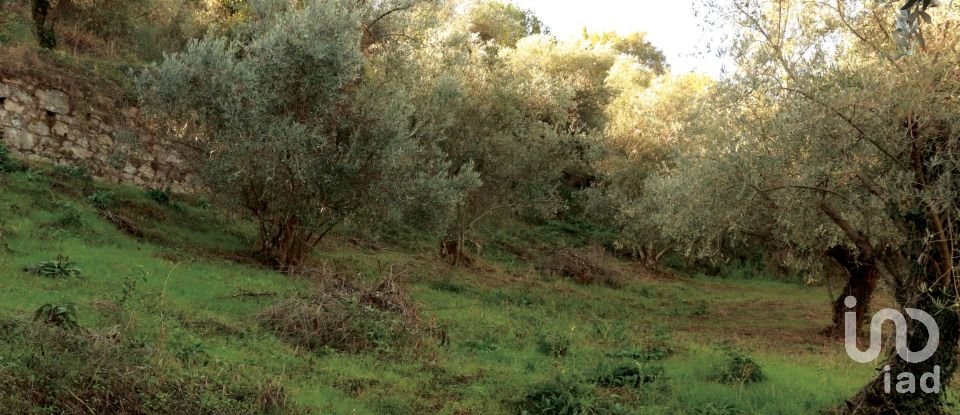 Ferme T14 à Vilarinho dos Freires de 1 424 m²