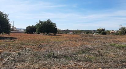 Terrain agricole à Pechão de 10 040 m²