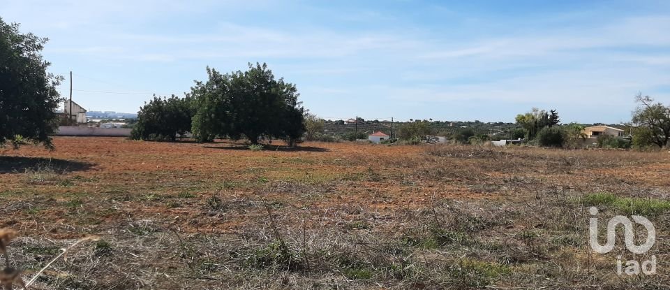 Terrain agricole à Pechão de 10 040 m²