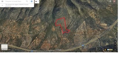 Terrain à Moncarapacho e Fuseta de 51 840 m²