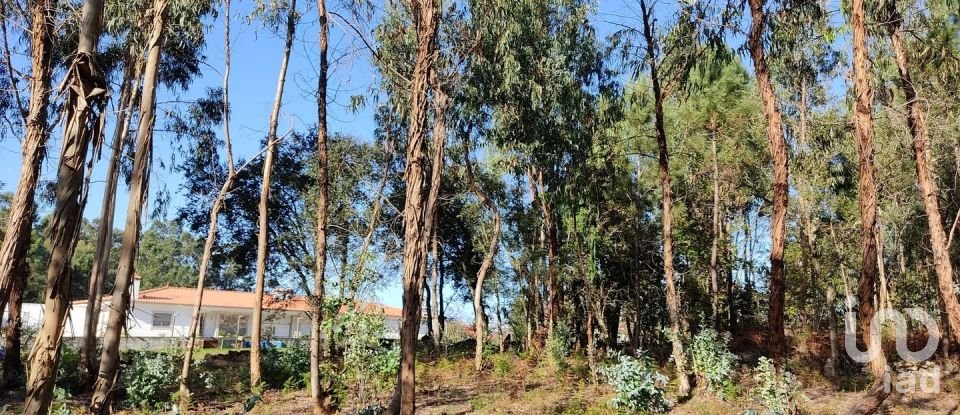 Land in Remelhe of 5,200 m²