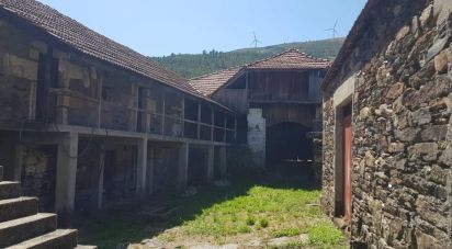 Ferme T0 à Salto de 350 000 m²