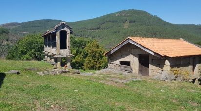 Ferme T0 à Salto de 350 000 m²