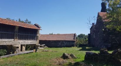 Ferme T0 à Salto de 350 000 m²