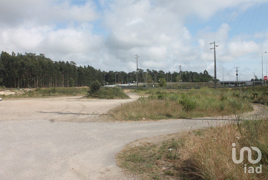 Terrain à Palmeira de Faro e Curvos de 25 498 m²