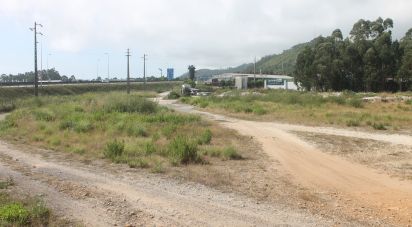 Terrain à Palmeira de Faro e Curvos de 25 498 m²