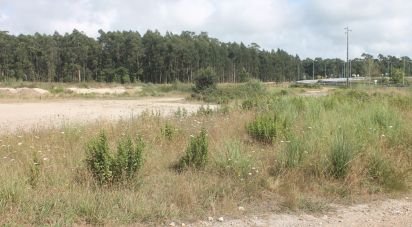 Terrain à Palmeira de Faro e Curvos de 25 498 m²