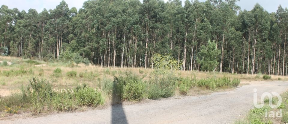 Terrain à Palmeira de Faro e Curvos de 25 498 m²