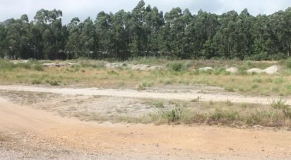 Terrain à Palmeira de Faro e Curvos de 25 498 m²