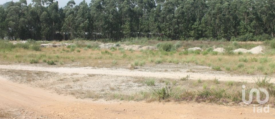 Terrain à Palmeira de Faro e Curvos de 25 498 m²