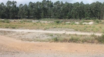 Terrain à Palmeira de Faro e Curvos de 25 498 m²