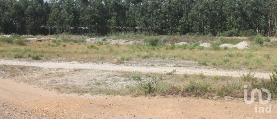 Terrain à Palmeira de Faro e Curvos de 25 498 m²