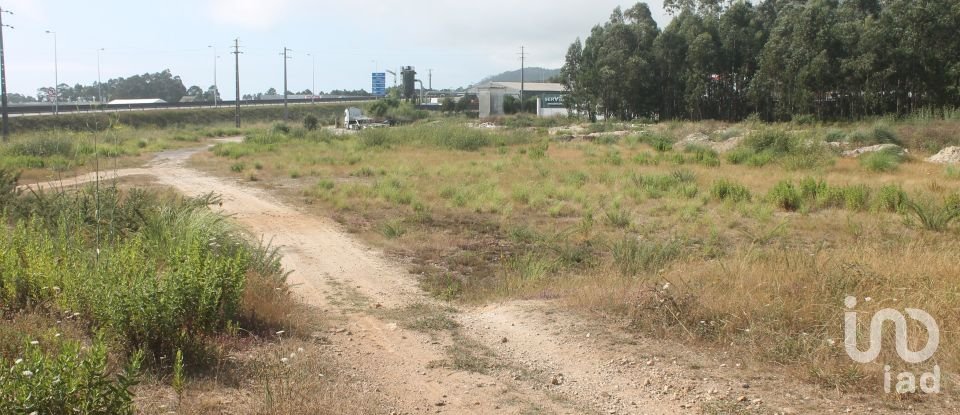 Terrain à Palmeira de Faro e Curvos de 25 498 m²