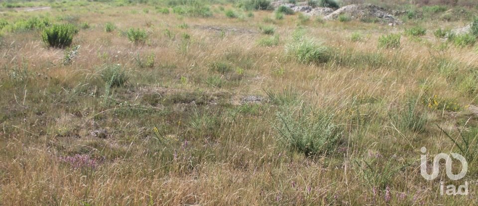 Terrain à Palmeira de Faro e Curvos de 25 498 m²