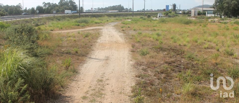 Terrain à Palmeira de Faro e Curvos de 25 498 m²