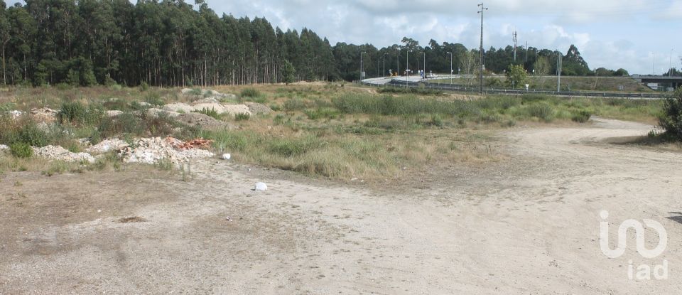 Terrain à Palmeira de Faro e Curvos de 25 498 m²