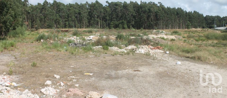 Terrain à Palmeira de Faro e Curvos de 25 498 m²