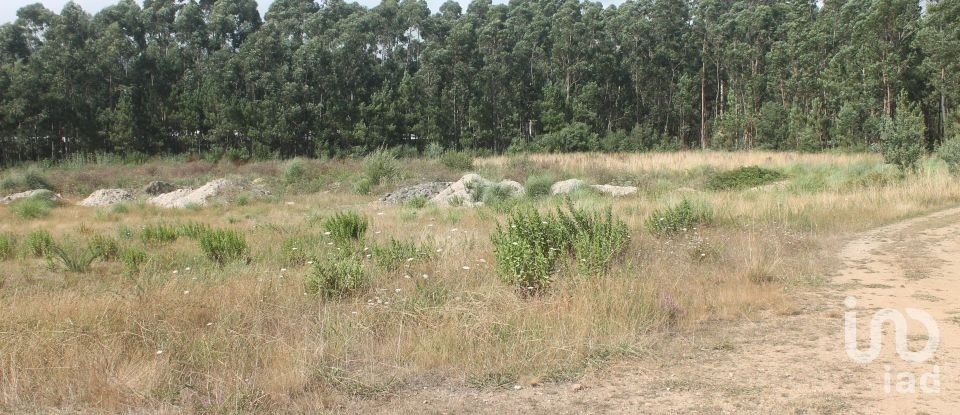 Terrain à Palmeira de Faro e Curvos de 25 498 m²