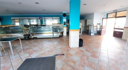 Café / snack-bar em Cadaval e Pêro Moniz de 221 m²