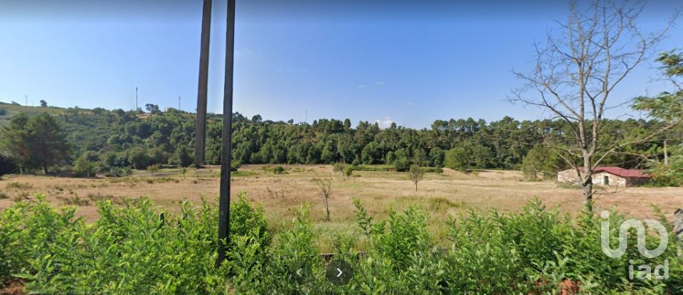 Terreno em Vale de Anta de 20 900 m²