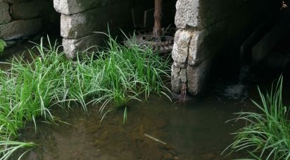 Terrain à Vale de Anta de 20 900 m²