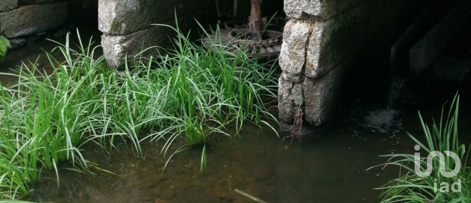 Terreno em Vale de Anta de 20 900 m²