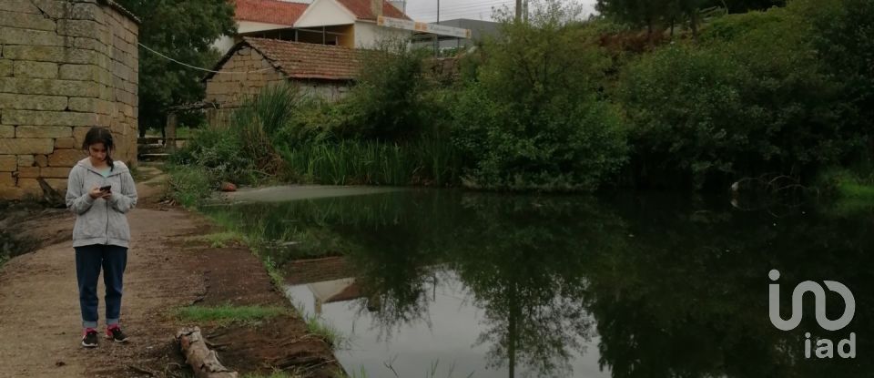 Terreno em Vale de Anta de 20 900 m²