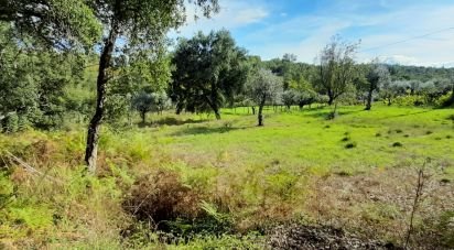 Maison rustique T3 à Pedrógão Pequeno de 80 m²