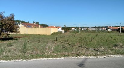 Terreno para construção em Monte Real e Carvide de 2 300 m²
