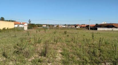 Building land in Monte Real e Carvide of 2,300 m²