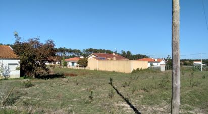 Terreno para construção em Monte Real e Carvide de 2 300 m²