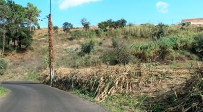 Land in Santo Isidoro of 1,194 m²