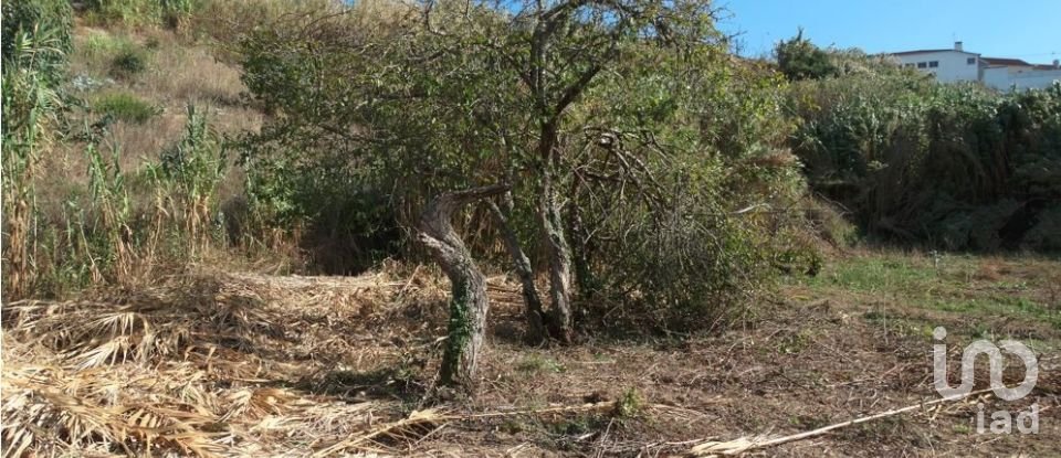 Land in Santo Isidoro of 1,194 m²