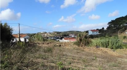 Land in Santo Isidoro of 1,180 m²