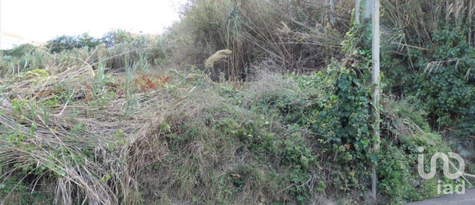 Land in Santo Isidoro of 1,182 m²