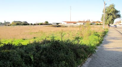 Terrain à bâtir à Oliveirinha de 9 007 m²