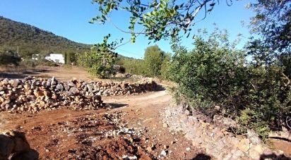 Land in Moncarapacho e Fuseta of 3,080 m²
