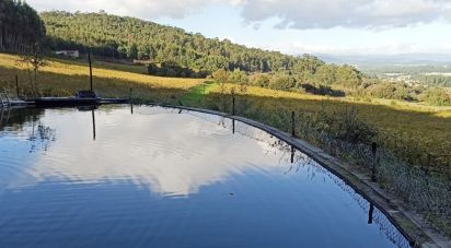 Domaine T3 à Gamil E Midões de 313 m²