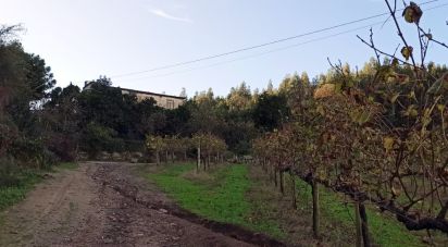 Domaine T3 à Gamil E Midões de 313 m²