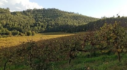 Domaine T3 à Gamil E Midões de 313 m²