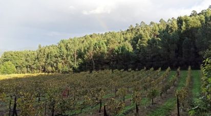 Domaine T3 à Gamil E Midões de 313 m²