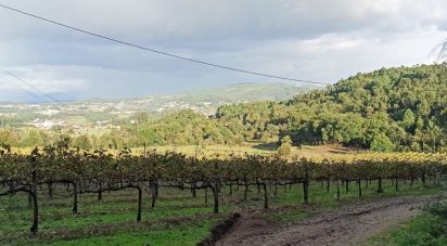 Domaine T3 à Gamil E Midões de 313 m²