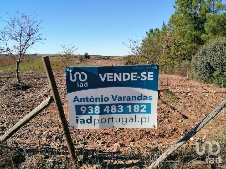 Agricultural land in Azinhoso of 14,800 m²