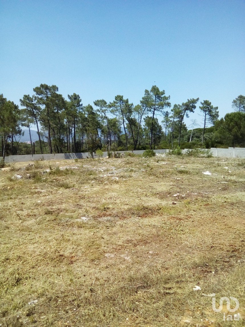 Terrain à Malhou, Louriceira e Espinheiro de 5 620 m²